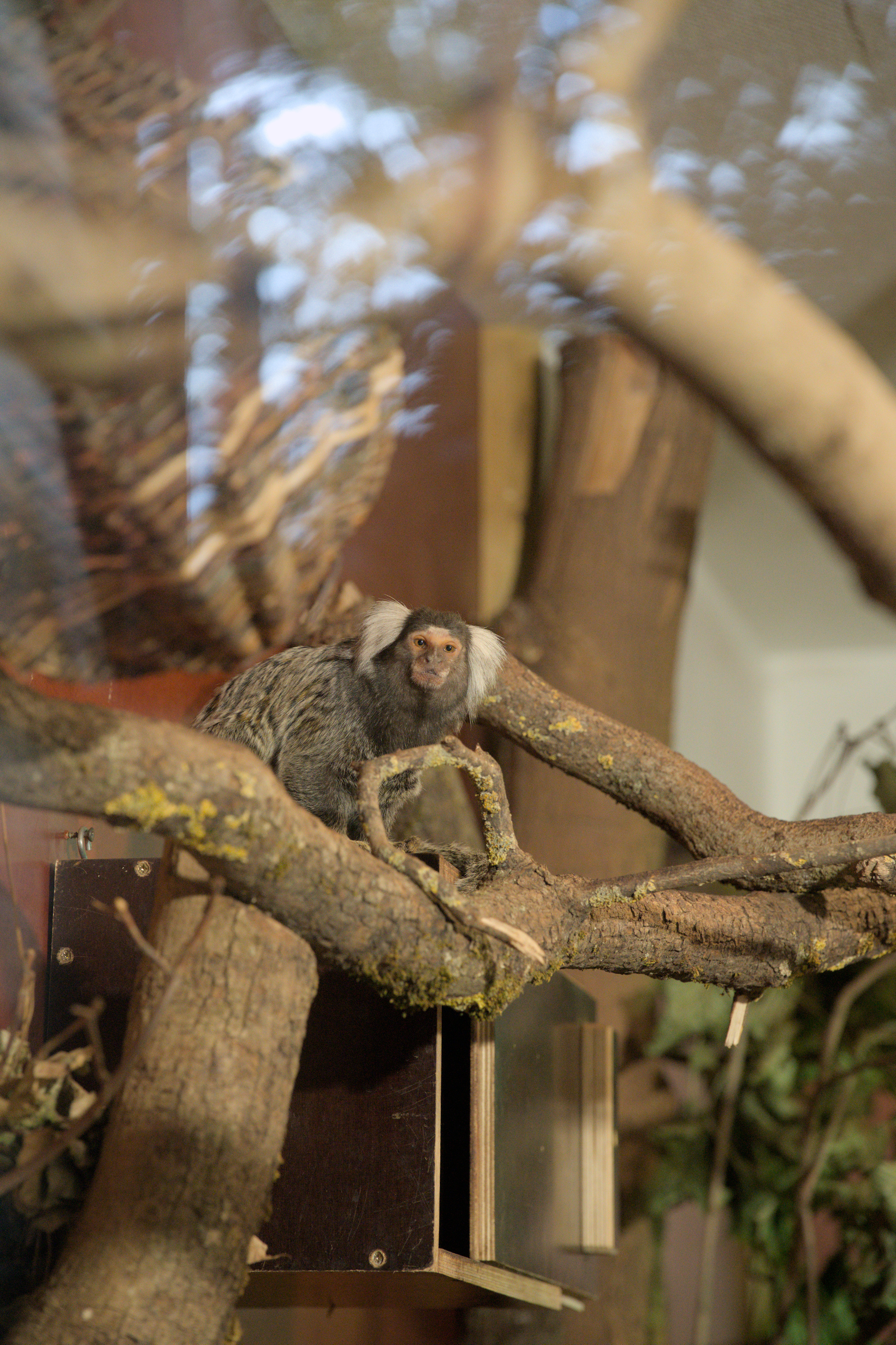 2025/10/12 - zoo/DSC_0101.jpg